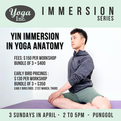 Yin Immersion In Yoga Anatomy w/ Bryan