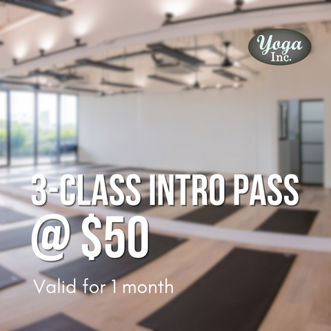 3-Class Intro Pass