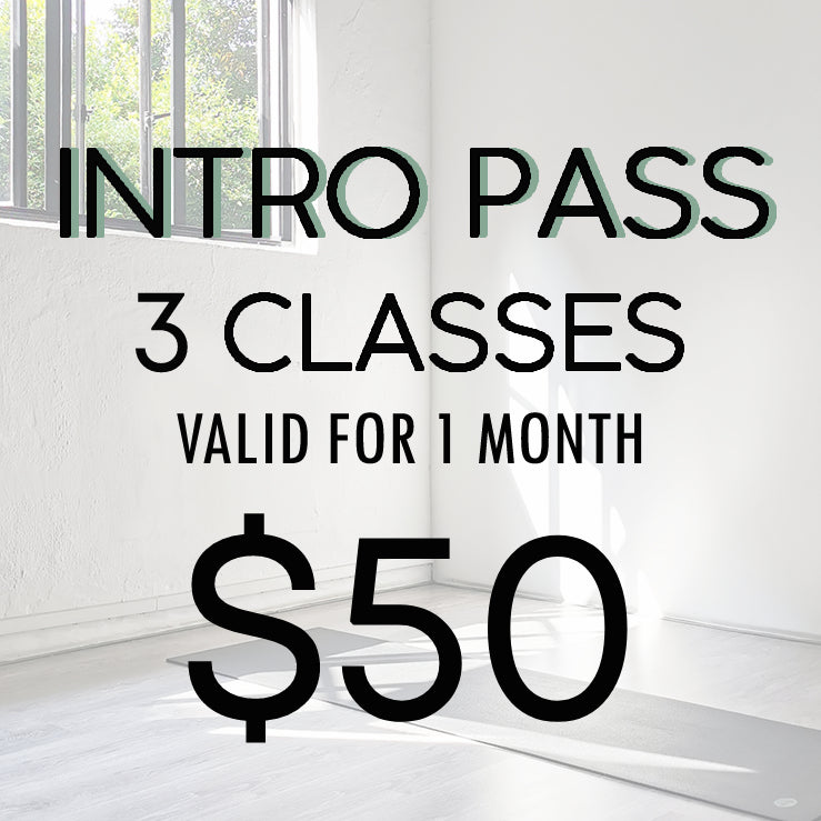3-Class Intro Pass